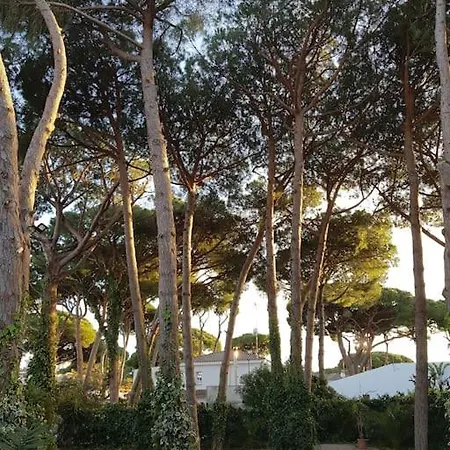 Holiday home Enjoy Your Holidays 300m To The Mediterranean Sea At Divali *